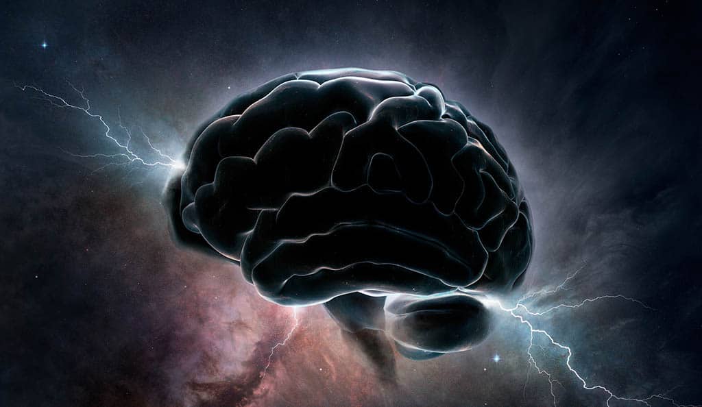 Come funziona il nostro cervello?